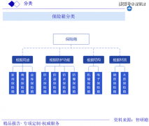 <b>中国安全箱行业演讲：行业概述、财产链、成长</b>