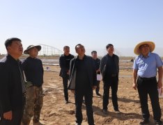 <b>【深化“三抓三促”步履】宣化镇：节前查抄敲</b>